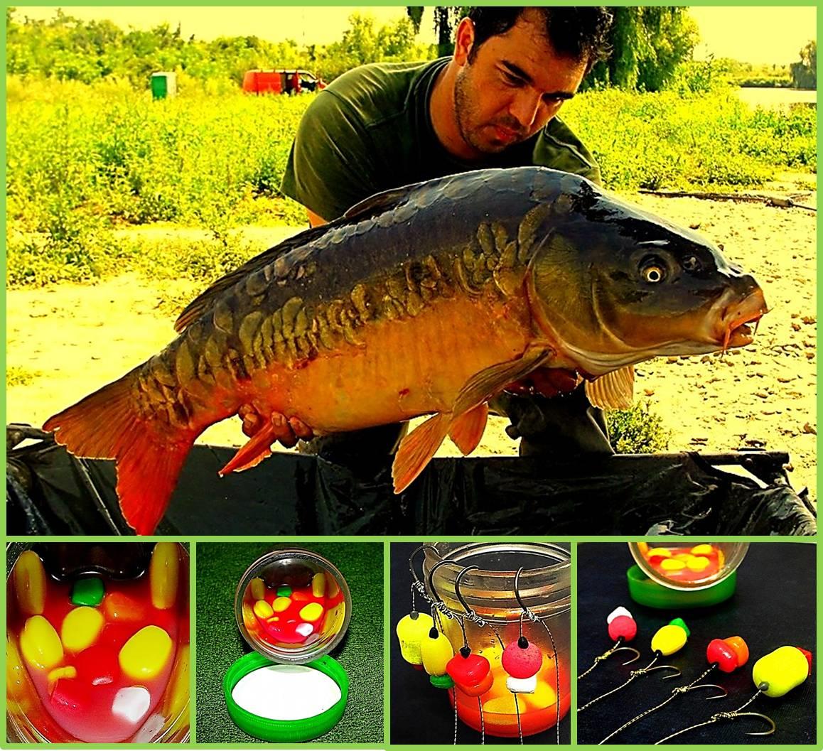 Moments... - http://www.crap24.ro/la-crap-cu-plastice-de-conjuctura/
